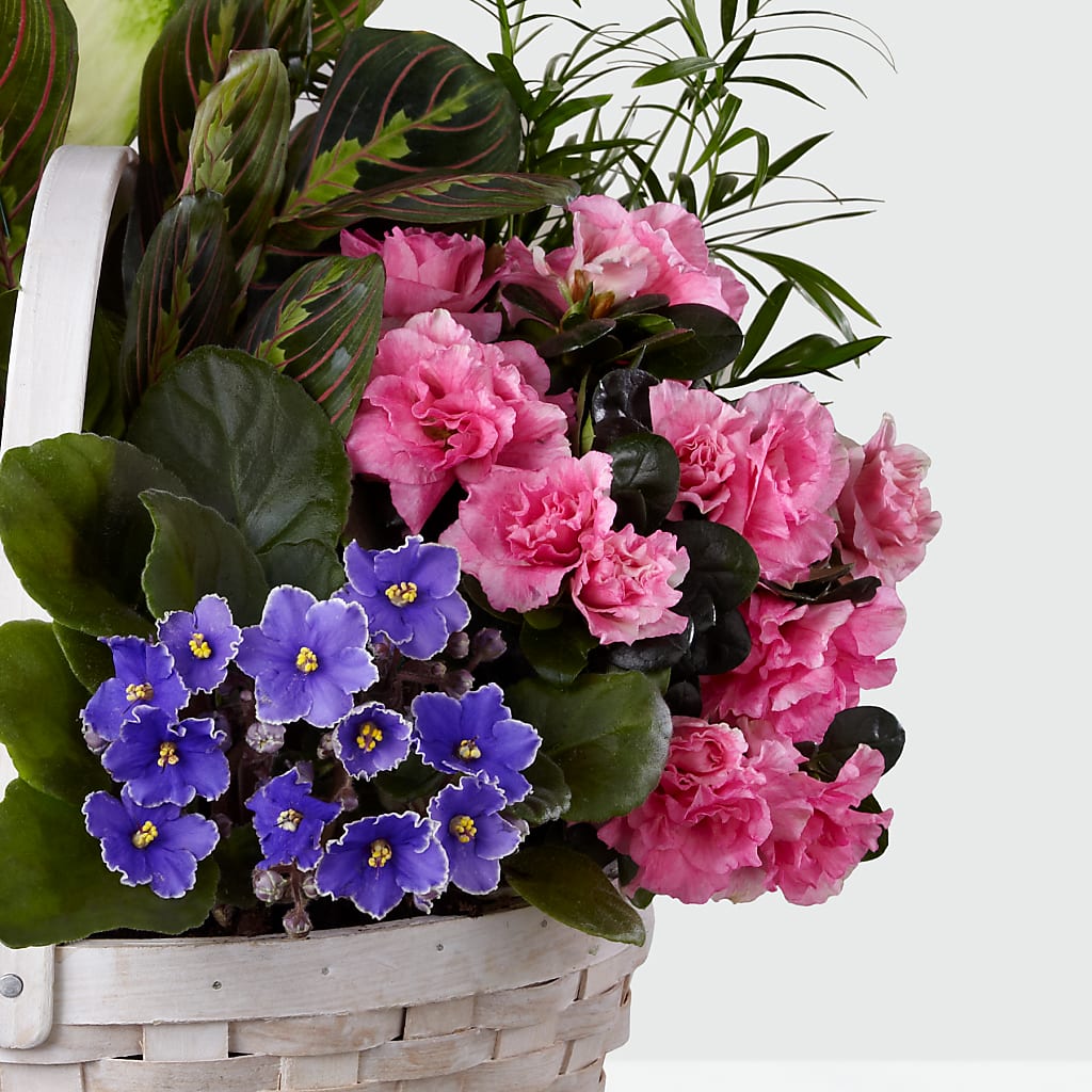 Peaceful Garden Planter – MARYCEL'S FLOWERS, Clifton NJ