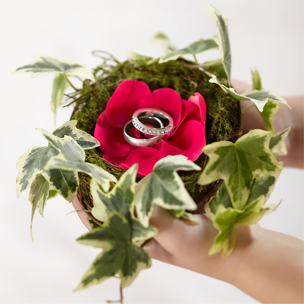 Lila Rose Ring Nest – MARYCEL'S FLOWERS, Clifton NJ