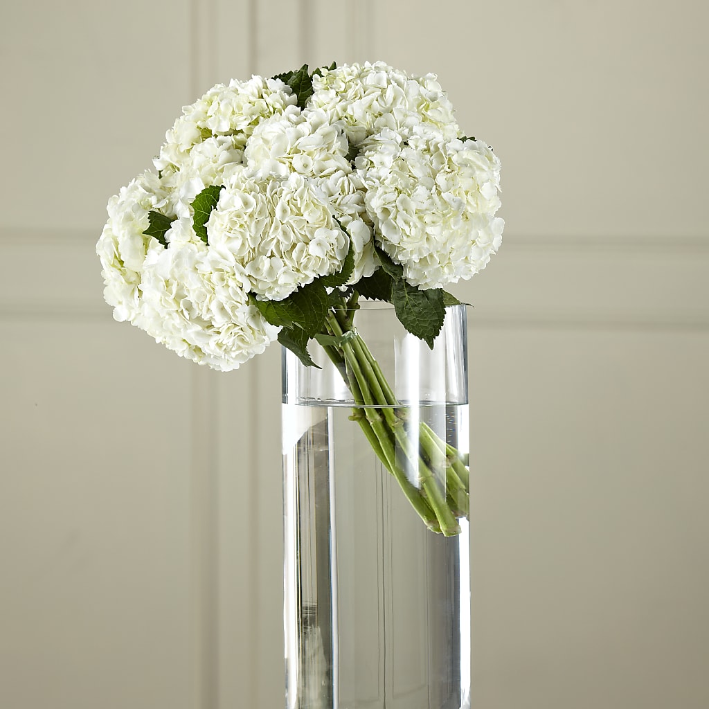 White Hydrangea Hand-Tied Bouquet – MARYCEL'S FLOWERS, Clifton NJ