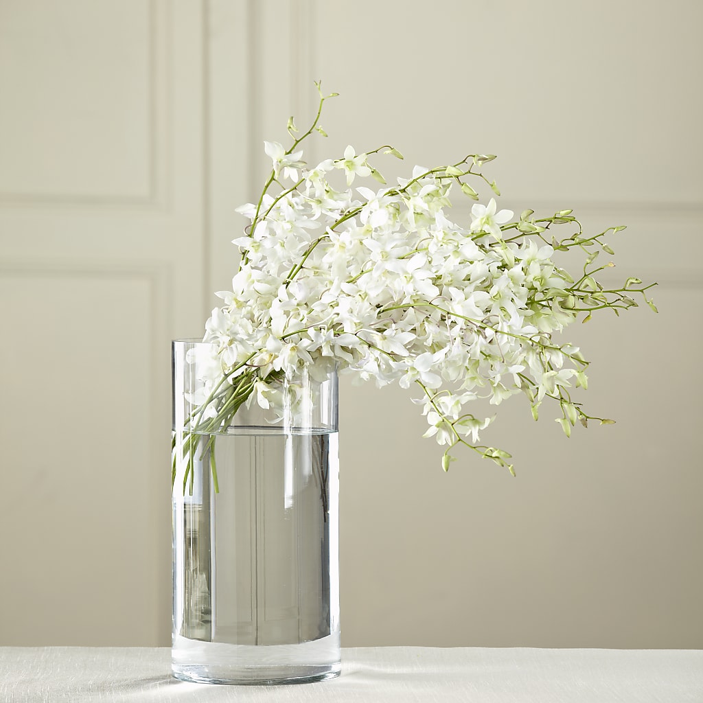 White Dendrobium Bouquet – MARYCEL'S FLOWERS, Clifton NJ