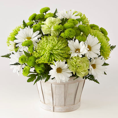 Lucky Charm Basket (Standard) – MARYCEL'S FLOWERS, Clifton NJ