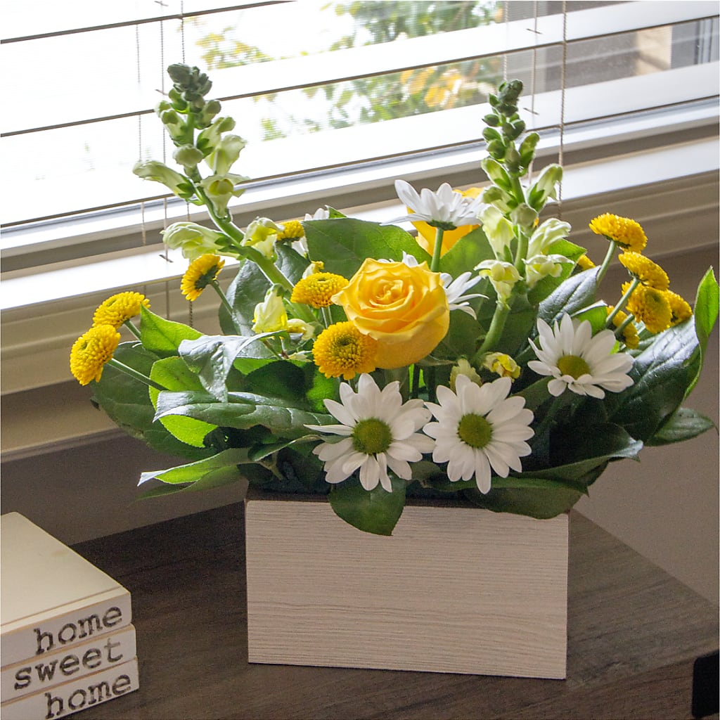 Sun Salutation Box Bouquet – MARYCEL'S FLOWERS, Clifton NJ