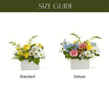 Sun Salutation Box Bouquet – MARYCEL'S FLOWERS, Clifton NJ