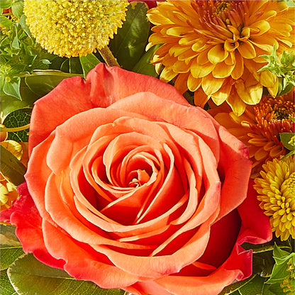Gourdgeous Pumpkin – MARYCEL'S FLOWERS, Clifton NJ