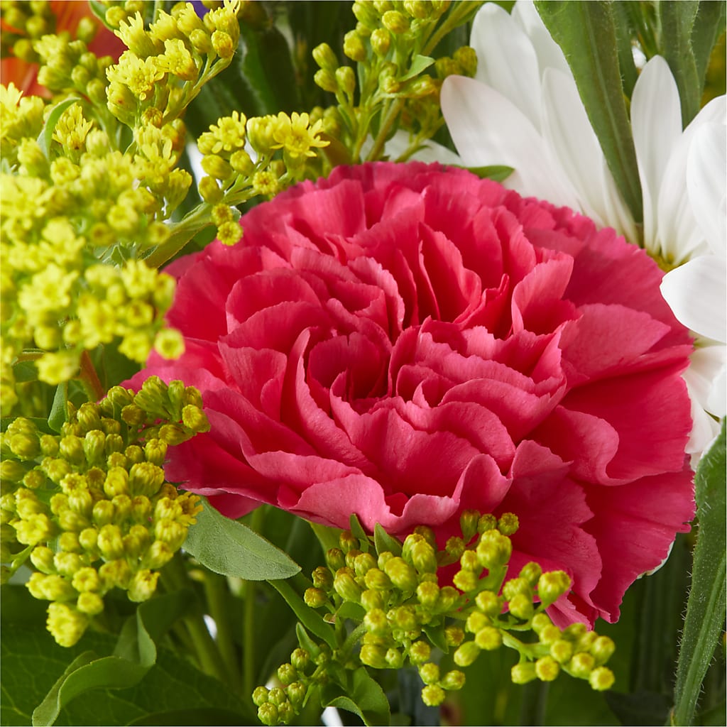 Oopsie Daisy Bouquet – MARYCEL'S FLOWERS, Clifton NJ