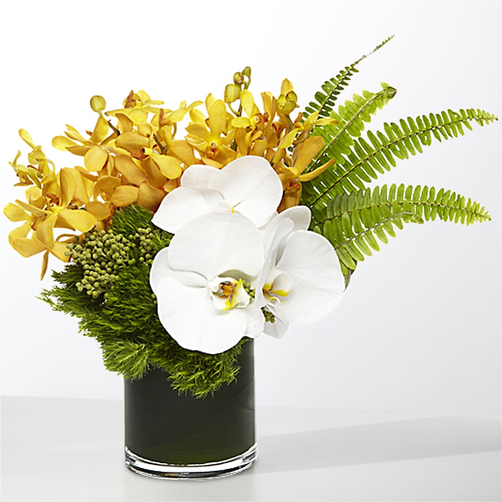 The Tropics – MARYCEL'S FLOWERS, Clifton NJ