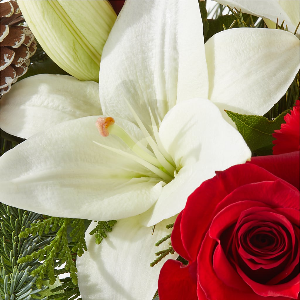 Oh So Jolly Bouquet – MARYCEL'S FLOWERS, Clifton NJ