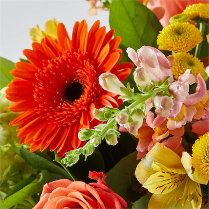 Autumn Sunshine Bouquet – MARYCEL'S FLOWERS, Clifton NJ