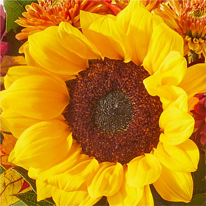 Sunny Side Bouquet – MARYCEL'S FLOWERS, Clifton NJ
