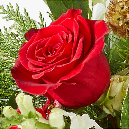 Deck the Halls Bouquet – MARYCEL'S FLOWERS, Clifton NJ