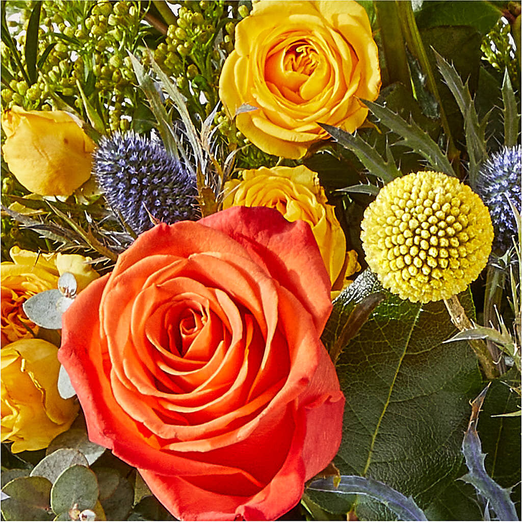 Disco Bouquet – MARYCEL'S FLOWERS, Clifton NJ