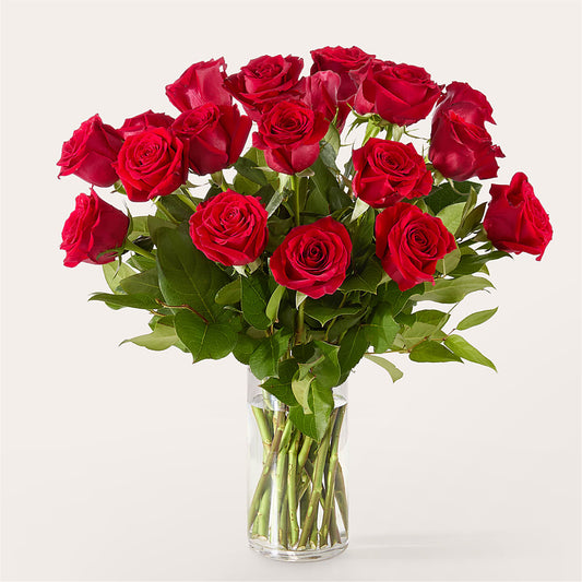 The One Red Rose Bouquet – MARYCEL'S FLOWERS, Clifton NJ