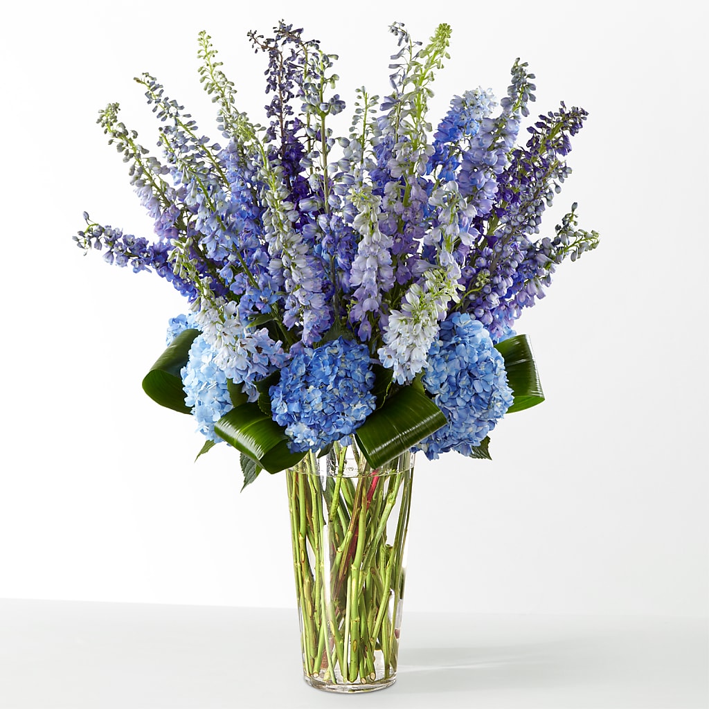 The Editorial – MARYCEL'S FLOWERS, Clifton NJ