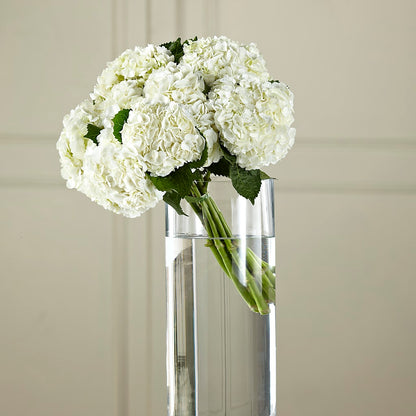 White Hydrangea Hand-Tied Bouquet – MARYCEL'S FLOWERS, Clifton NJ